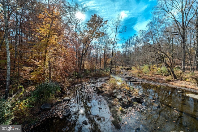 view of local wilderness