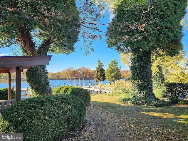 view of yard featuring a water view