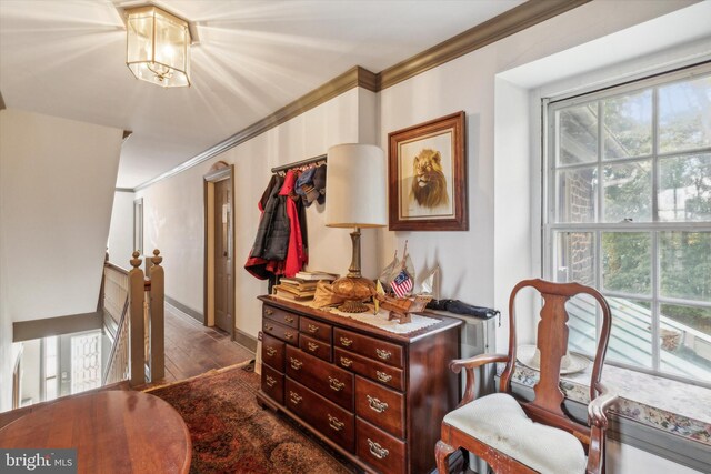 sitting room featuring ornamental molding and dark hardwood / wood-style flooring