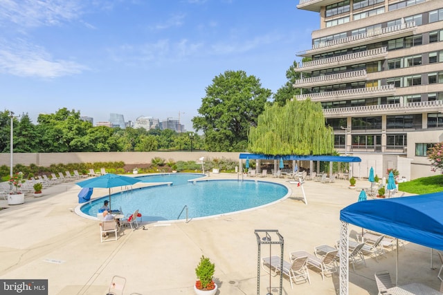 view of swimming pool with a patio area