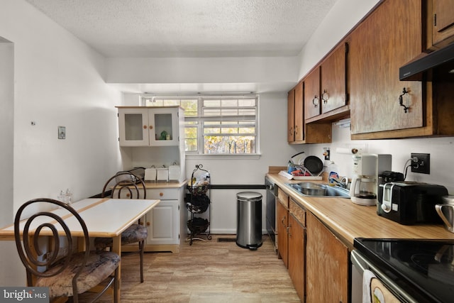 kitchen with a textured ceiling, light wood-type flooring, and sink