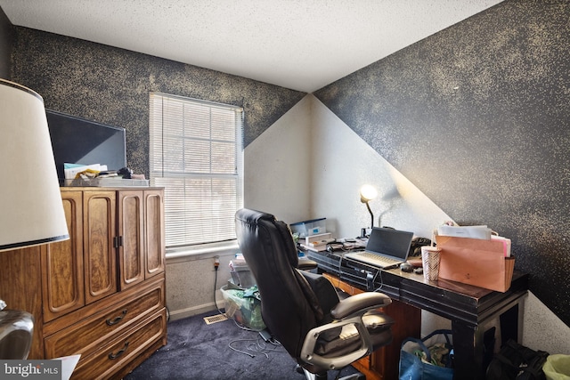 carpeted office space with a textured ceiling