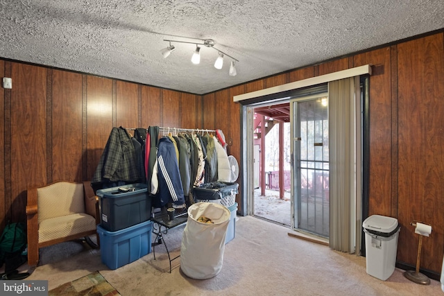 walk in closet featuring light colored carpet