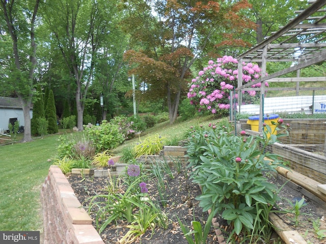 603 Bloomfield Dr, Westampton, NJ 08060 - view of green lawn featuring a vegetable garden
