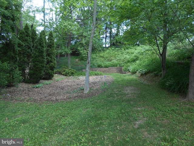 603 Bloomfield Dr, Westampton, NJ 08060 - view of green lawn