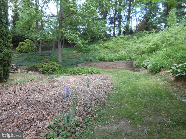 603 Bloomfield Dr, Westampton, NJ 08060 - view of yard