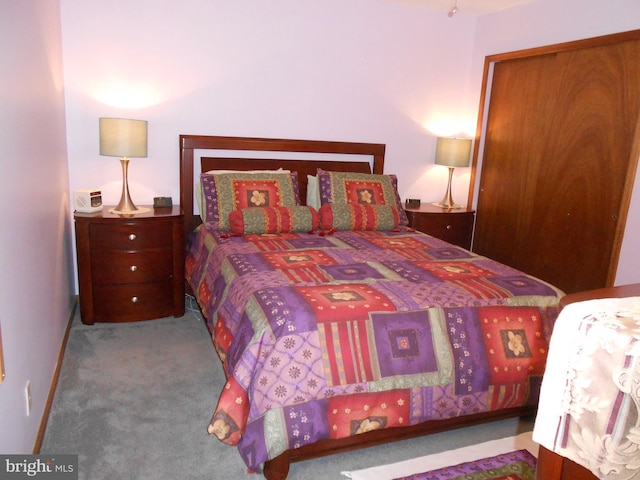 603 Bloomfield Dr, Westampton, NJ 08060 - view of carpeted bedroom
