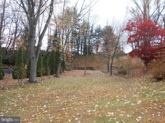603 Bloomfield Dr, Westampton, NJ 08060 - view of yard