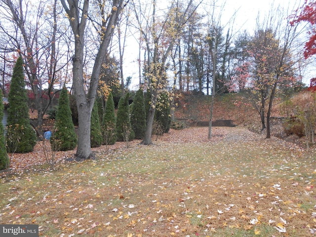 603 Bloomfield Dr, Westampton, NJ 08060 - view of yard