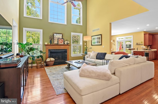 living room featuring light hardwood / wood-style flooring