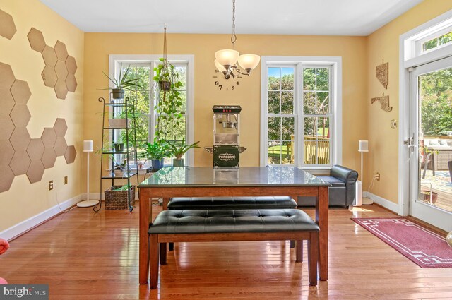 dining area with an inviting chandelier, a wealth of natural light, and hardwood / wood-style floors