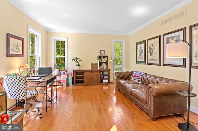 office area with a healthy amount of sunlight, light hardwood / wood-style flooring, and ornamental molding