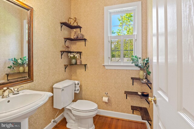 bathroom featuring toilet, sink, and hardwood / wood-style floors