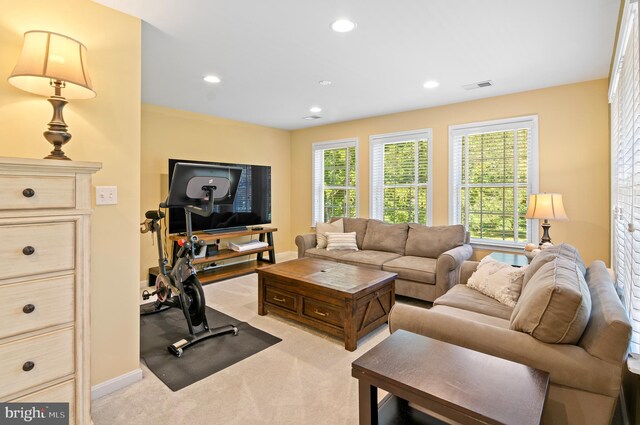 living room featuring light colored carpet