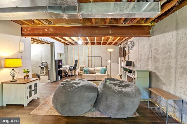 basement featuring hardwood / wood-style floors