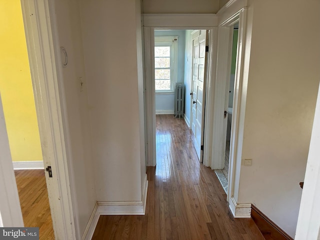 hall with radiator and wood-type flooring