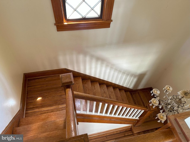 stairway featuring hardwood / wood-style floors