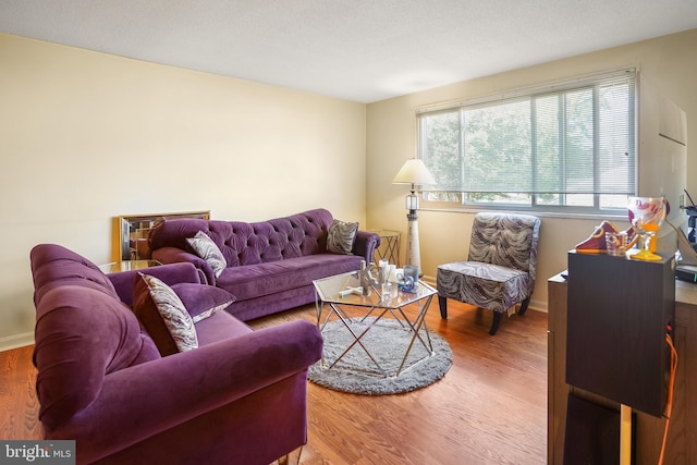 living room with hardwood / wood-style floors