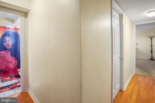 3827 Hamilton St Unit D-203, Hyattsville, MD 20781 - hallway with light wood-style floors and baseboards