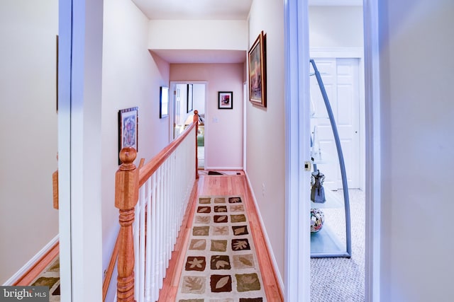 corridor featuring hardwood / wood-style floors