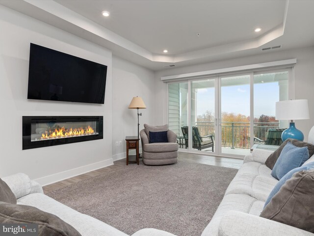 living room featuring hardwood / wood-style flooring and a tray ceiling