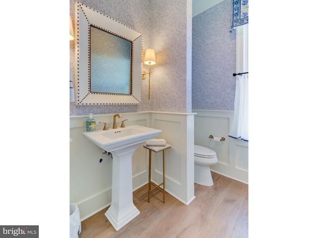 bathroom with toilet and wood-type flooring