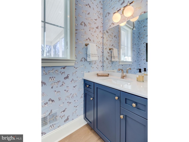 bathroom featuring hardwood / wood-style floors and vanity