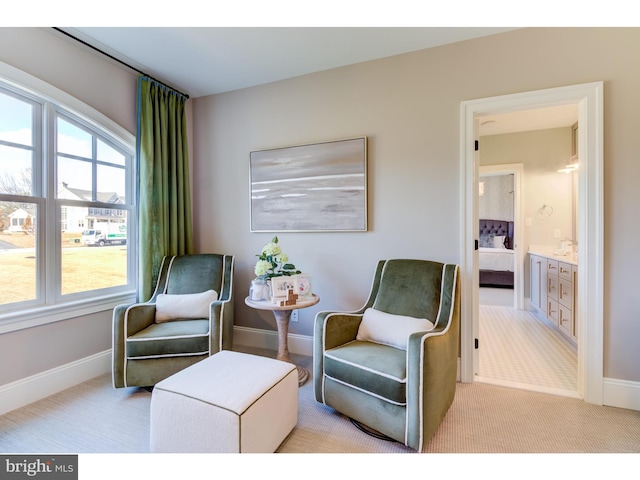 living area with light colored carpet