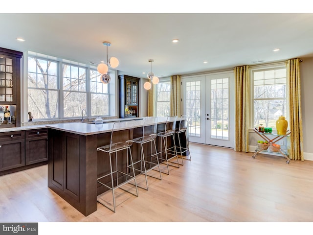 kitchen featuring french doors, light wood-type flooring, a wealth of natural light, and hanging light fixtures