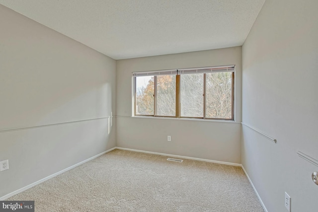 empty room featuring carpet and a textured ceiling