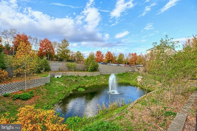 property view of water