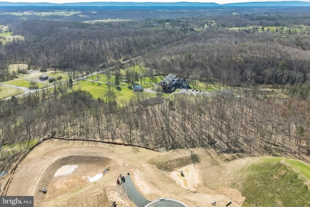 1160 Jordan Springs Rd, Stephenson, VA 22656