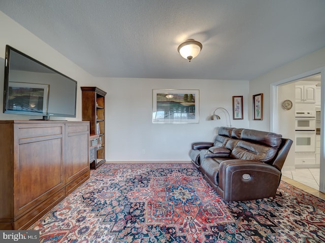 living room featuring a textured ceiling