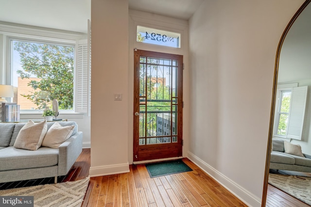 foyer featuring light wood-type flooring and a wealth of natural light