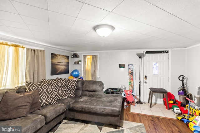 living room with wood-type flooring and ornamental molding