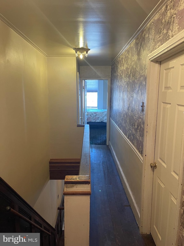 hallway with dark hardwood / wood-style floors