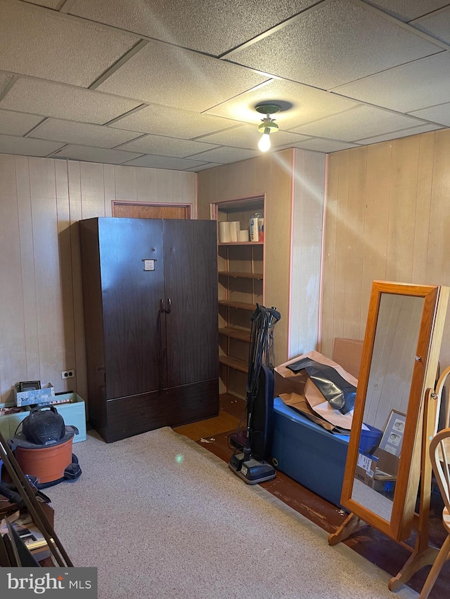 interior space with carpet flooring and wood walls