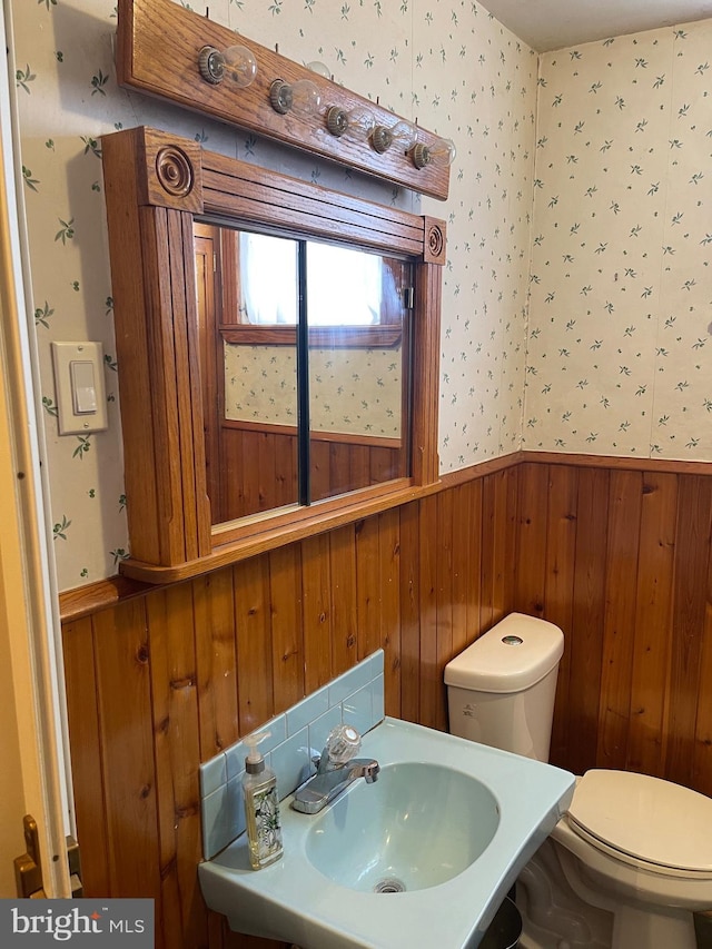 bathroom with toilet, wooden walls, and sink