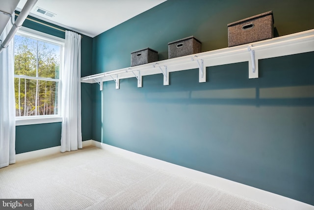 spacious closet featuring carpet floors