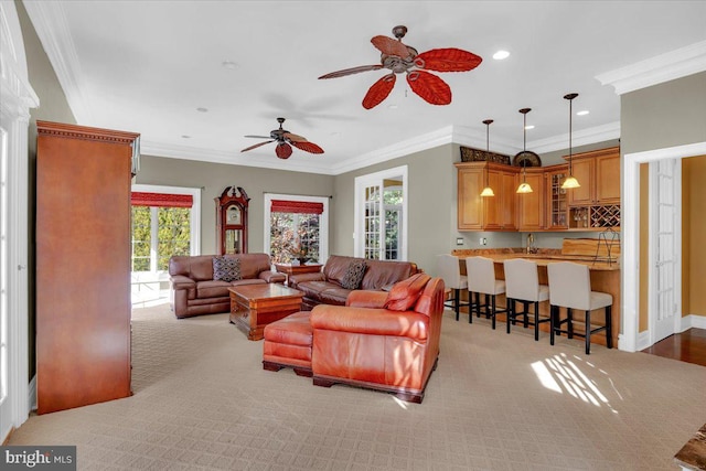 living room with ceiling fan, crown molding, and sink