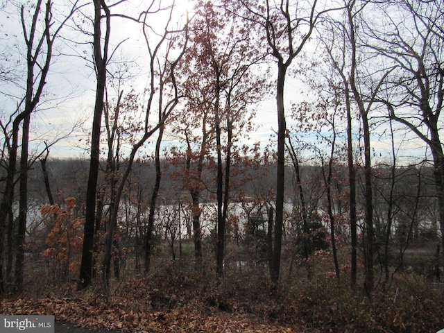 view of water feature with a wooded view