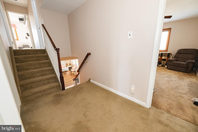 stairway with carpet floors