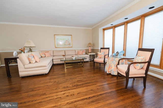 living room featuring ornamental molding and dark hardwood / wood-style floors