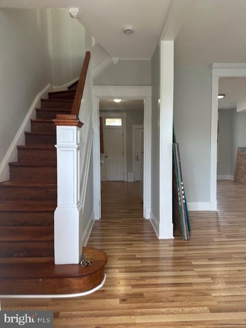 staircase with wood-type flooring