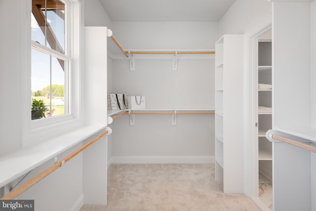 walk in closet with light colored carpet