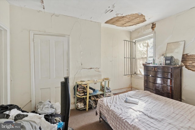 bedroom with carpet floors