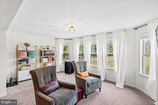 sitting room with light carpet