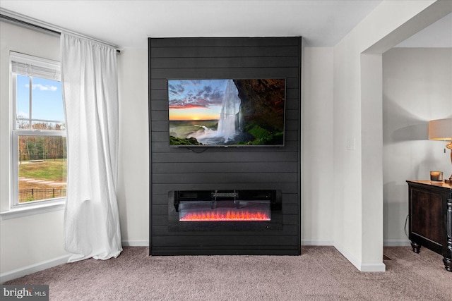 details with a large fireplace and carpet floors