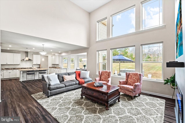 living room featuring a healthy amount of sunlight, wood-type flooring, and a towering ceiling