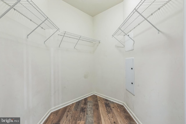 walk in closet with hardwood / wood-style floors and electric panel